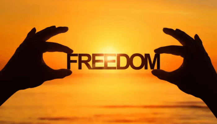 freedom what we do